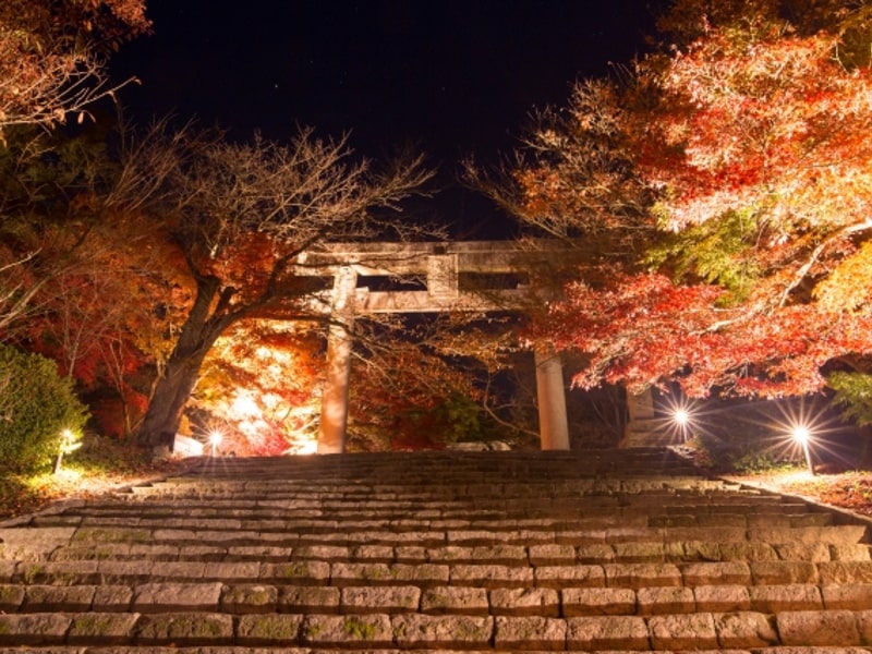 귀칼 렌탄이 공식인 이유는 탄지로의 모티브인 카마도 신사(竈門神社)를 찾아봐도 답이나옴 9번째 사진