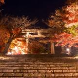 귀멸 렌탄의 유대와 잉태관련을 카마도 신사에 대입해서 분석을 의뢰해봤다. + 탄왼, 렌른 리버스가 모순이라는 이유도 나옴. 내가 렌탄 오메가버스